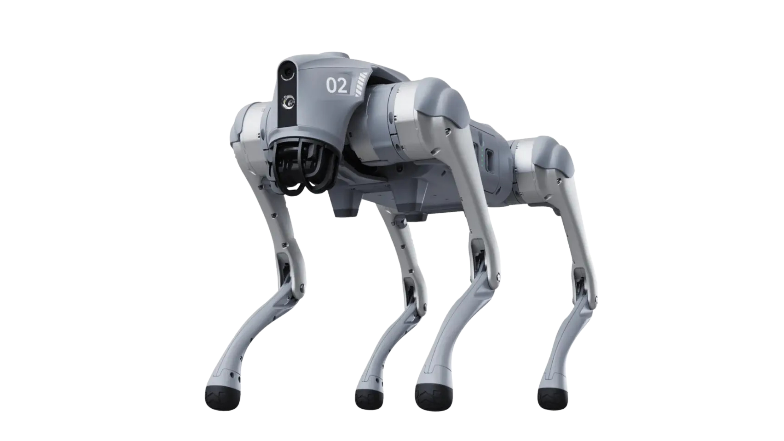 Unitree Go2 Robot Dog